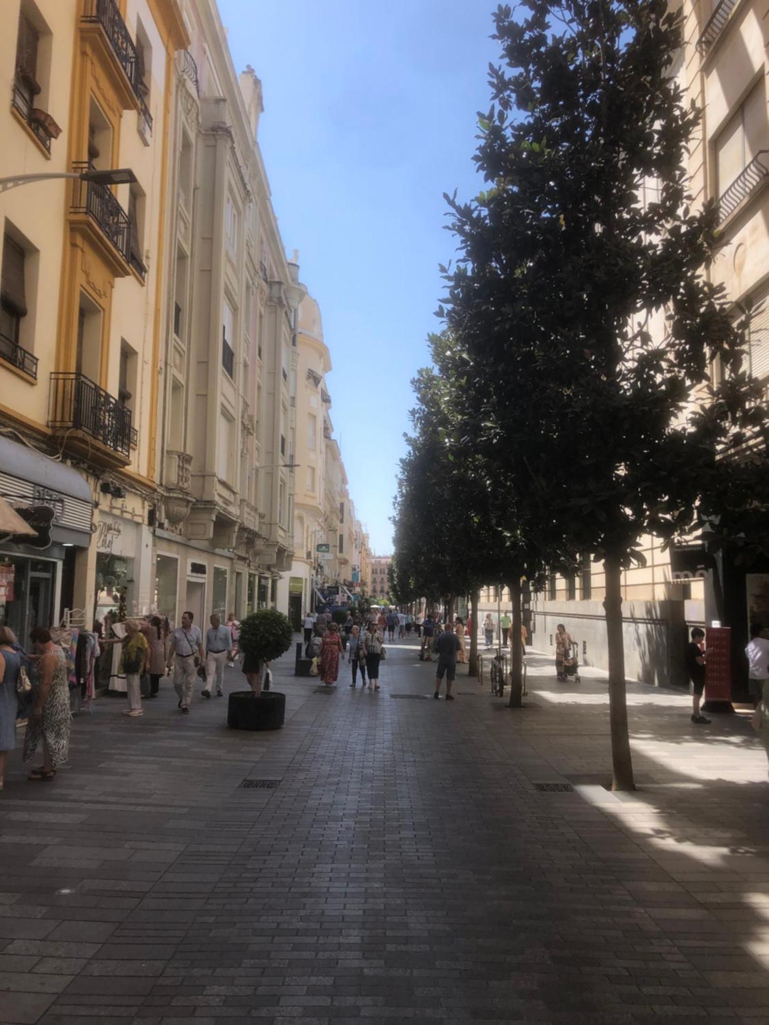 Apartamento En El Centro Totalmente Climatizado, Parking Gratuito コルドバ エクステリア 写真